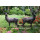 Garden Life Size Bronze Deerr Statue